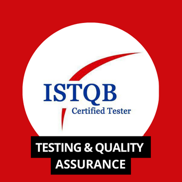 Software Testing